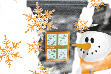 Tipps für den Winter