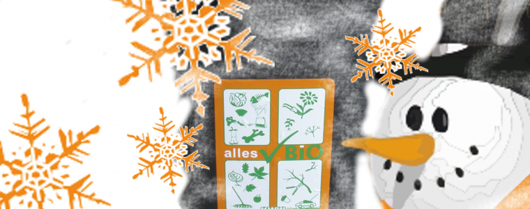 Biotonne im Schnee