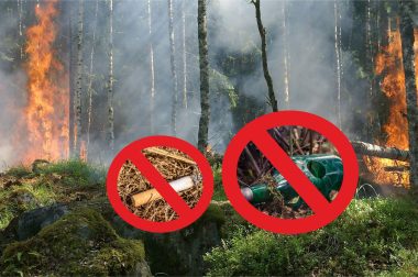Abfalltipp im Monat August