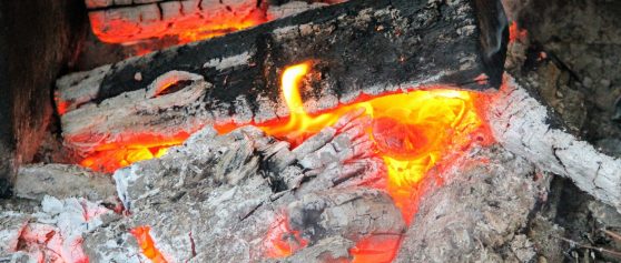Asche von Holz oder Kohle nicht als Grünabfall entsorgen